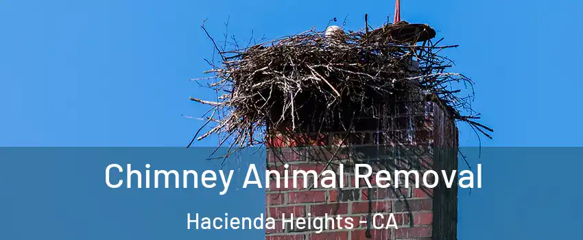 Chimney Animal Removal Hacienda Heights - CA