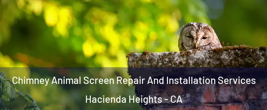  Chimney Animal Screen Repair And Installation Services Hacienda Heights - CA
