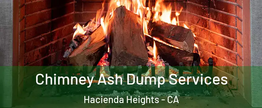  Chimney Ash Dump Services Hacienda Heights - CA
