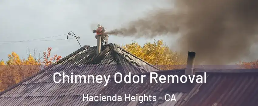  Chimney Odor Removal Hacienda Heights - CA