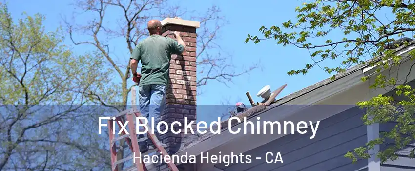  Fix Blocked Chimney Hacienda Heights - CA
