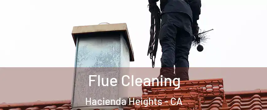  Flue Cleaning Hacienda Heights - CA