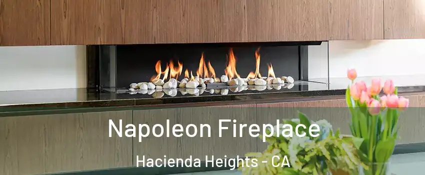  Napoleon Fireplace Hacienda Heights - CA