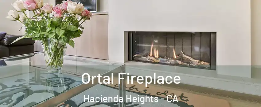 Ortal Fireplace Hacienda Heights - CA
